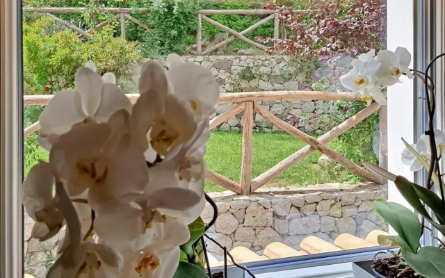 Villa Luciana With Bio Pool and Private Garden