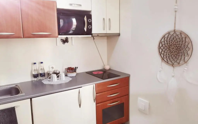Nice & economic Studio