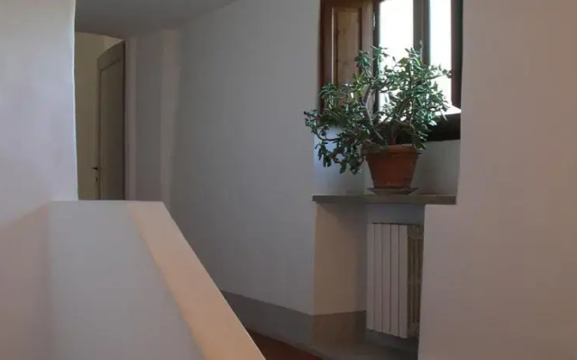Oleandro
