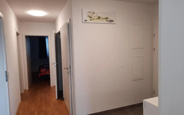Vienna Lion Apartment