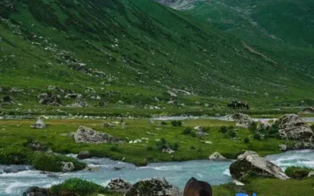 INWARD PEAK·Designer Holiday Homestay (Hemu Scenic Area Branch)