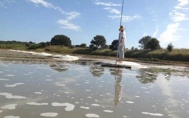 La Balade des Marais