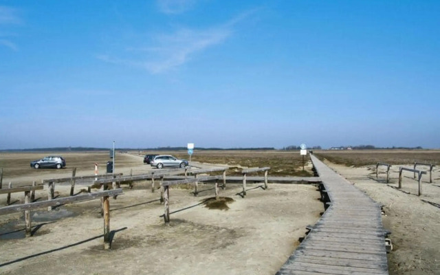 Apartment in St. Peter-Ording in a natural environment.
