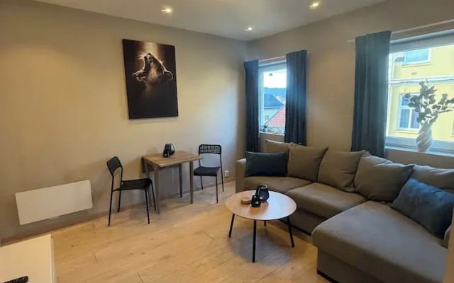 Notodden Sentrum Apartment NO 4