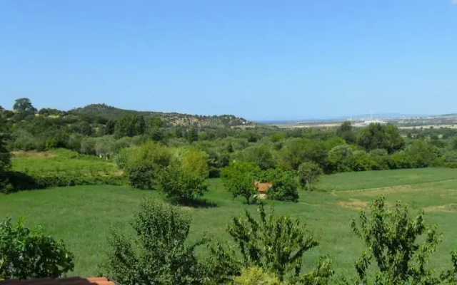 Madonna del Cedro