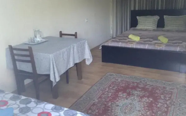 Hostel Begicha