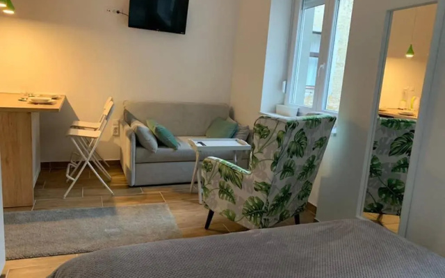 Studio apartment in center of Zagreb "Vidra"