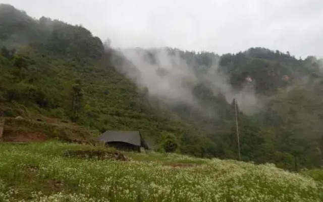 Dhanaulti Camp Homes And Nature Resort