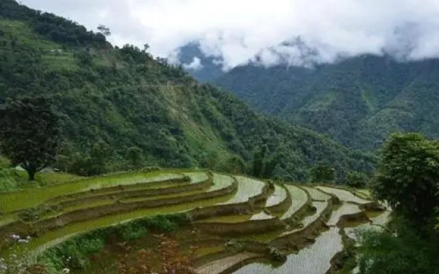 Yakten Paradise Homestay