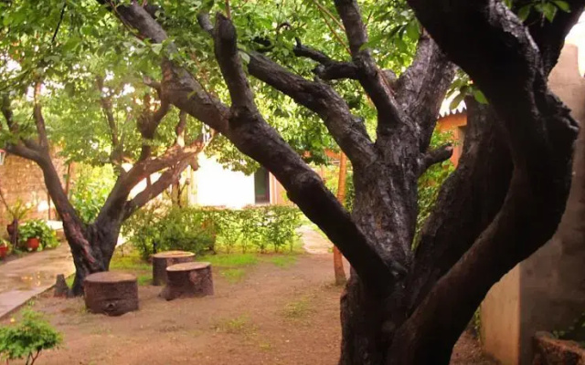 Lo de Rosa Hostel