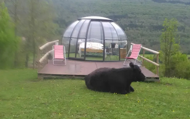 Ferme des Baillards