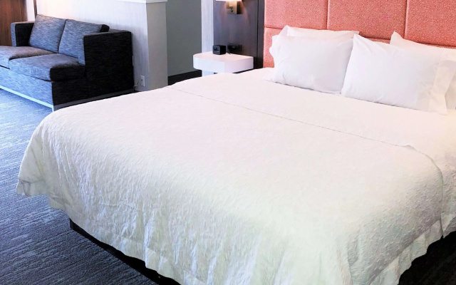 Hampton Inn Williamsport-Downtown
