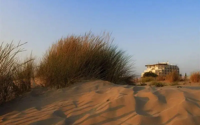 Hôtel And Spa Les Bains De Camargue By Thalazur