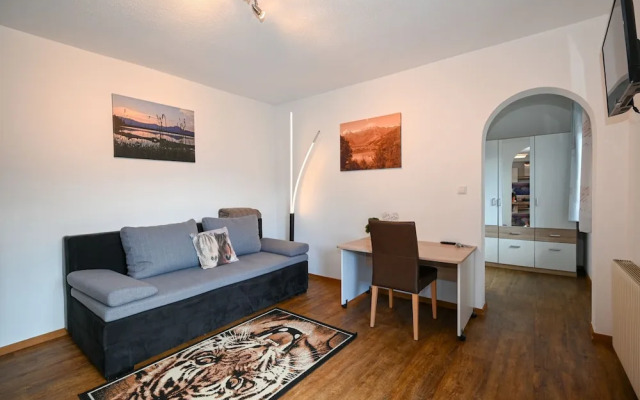 Apartment Medicus Zell am See Incl Summer Card