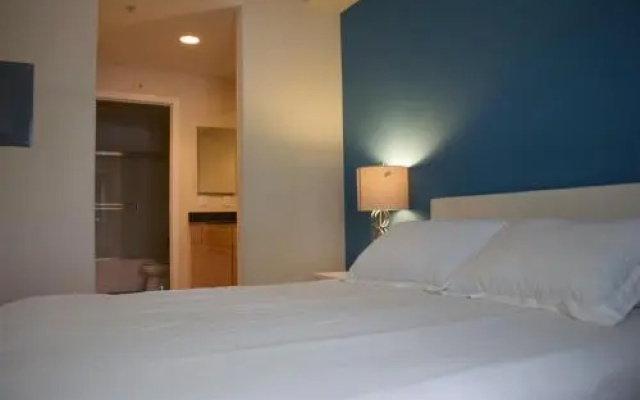 Luxury Apartment Near The Grove