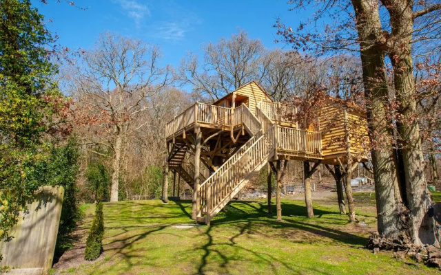 Oakside Tree Tops