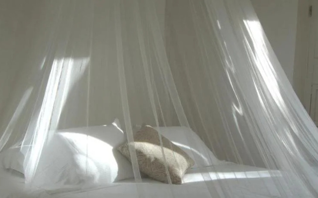 Suite Assul