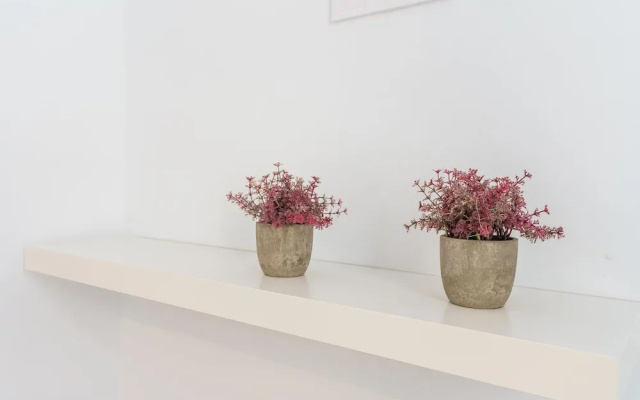 Malagasuite City Center Apartment