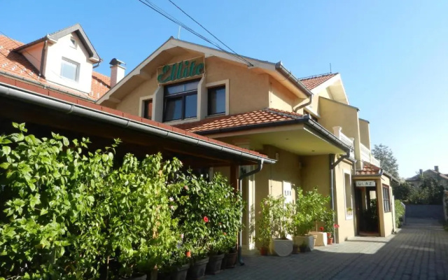 Guesthouse Ellite