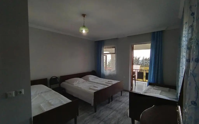 Guest House TeNi