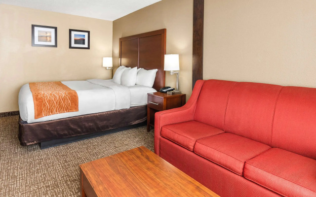 Comfort Inn & Suites Vancouver Downtown City Center