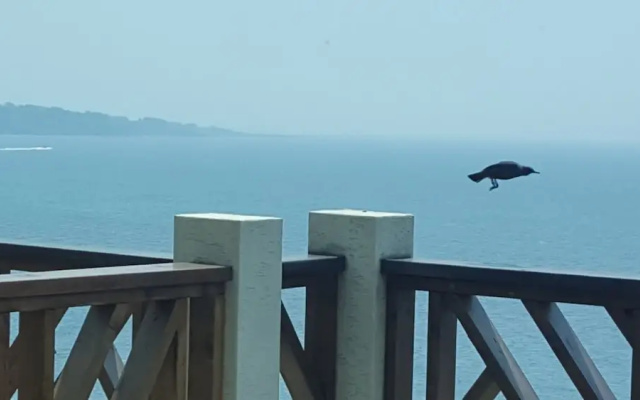 Jeju Pension Yere