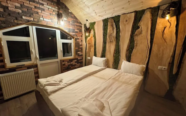 The Luxurious Forest Villa Borovets1