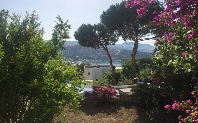 BO025 Bodrum