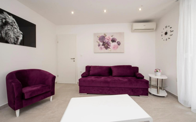 Lions apartment