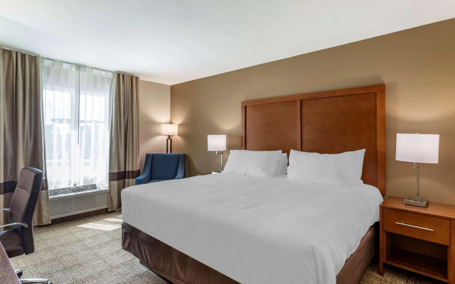 Comfort Inn & Suites Waller
