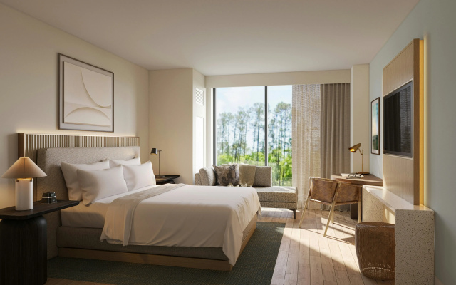 Hilton Jacksonville At Mayo Clinic