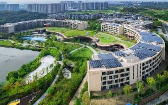 Urban Oasis Apartment