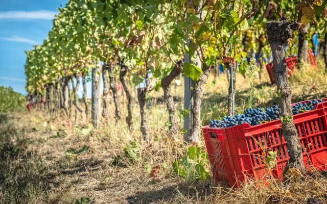 Agriturismo Rivetto