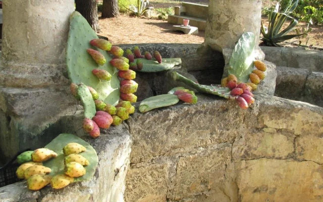 Masseria Tornesella