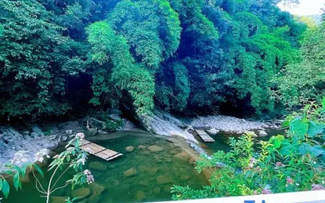 Qingcheng Mountain Yujian Forest Private Soup Homestay