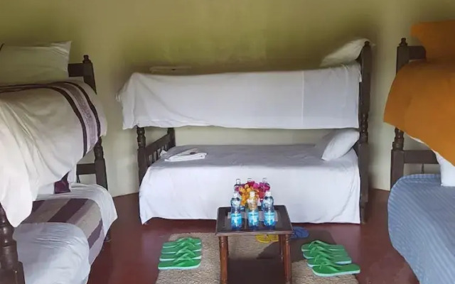 Blue Zone Kenya Resorts and Game Drives