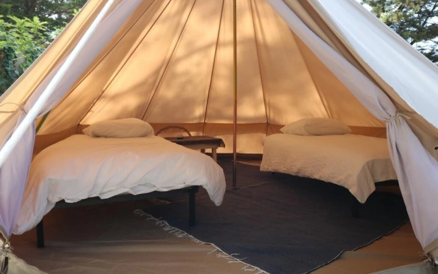 Tipis Manu Surf