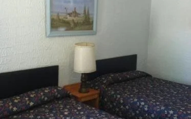 Ace Lodge