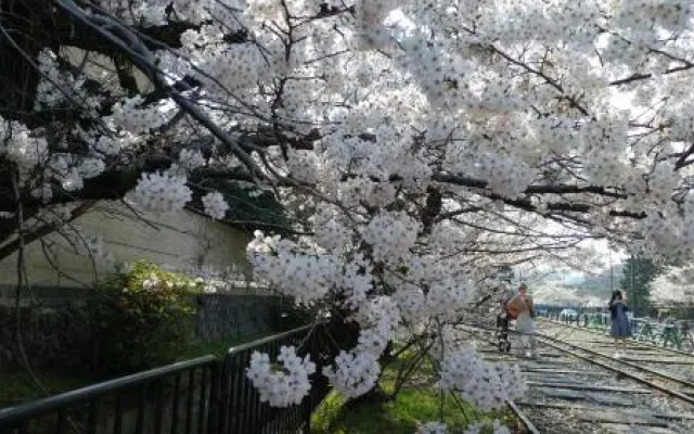 Kyoto-Gion Tourist House