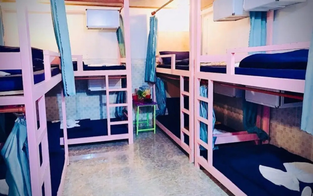 Hai Cay Thong Homestay - Hostel