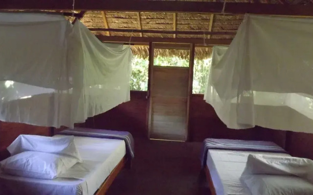 Ecolucerna Lodge Tambopata
