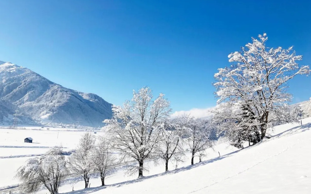 Holiday Apartment in Pinzgau
