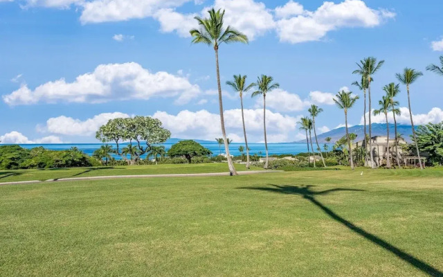 Wailea Ekolu 1509