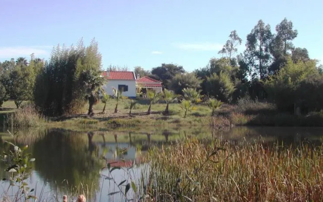 Holiday Homes in Zambujeira do Mar