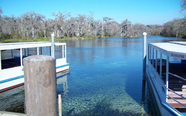 The Lodge at Wakulla Springs