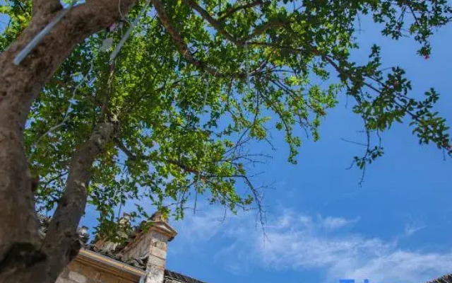 Hongcun Scenic Area Homestay at Shanyun Homestay