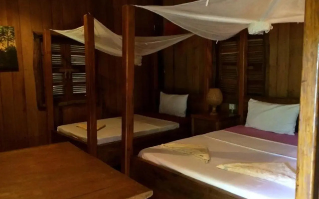 Tree Top Eco-Lodge