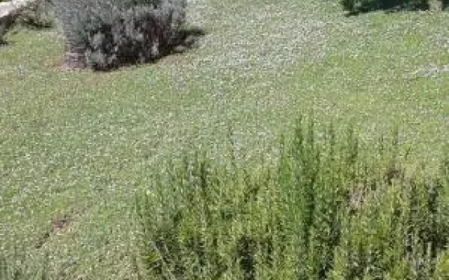 Il Posto Di Chiara