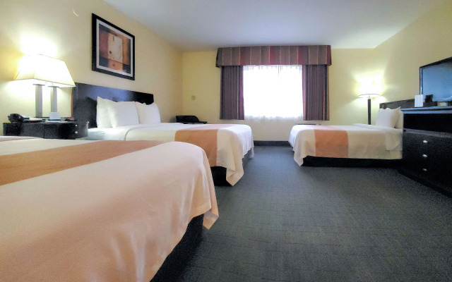 Quality Inn & Suites Anaheim At The Park