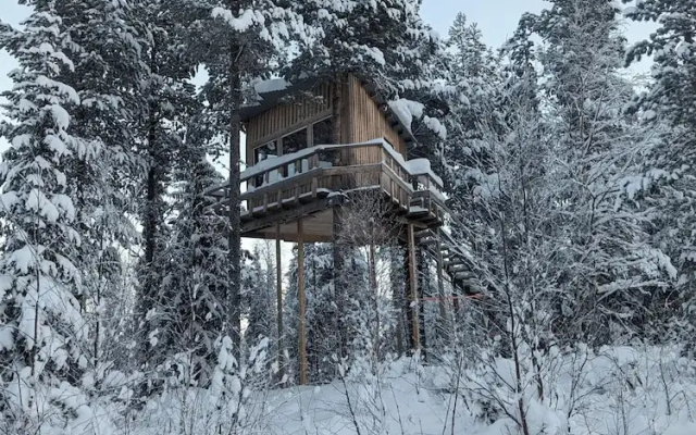 Aurora Lodge